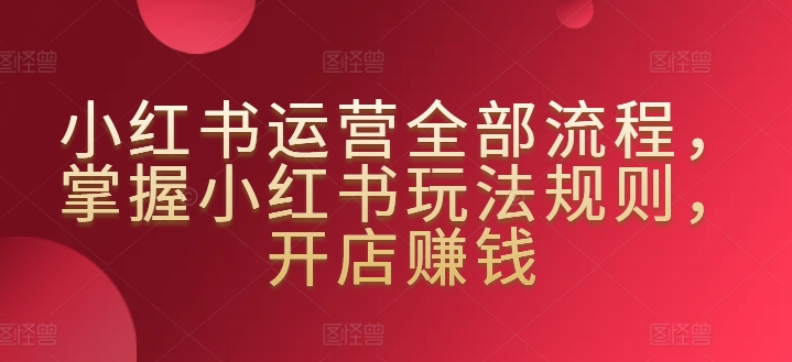 小红书运营全部流程，掌握小红书玩法规则，开店赚钱-林文副业站