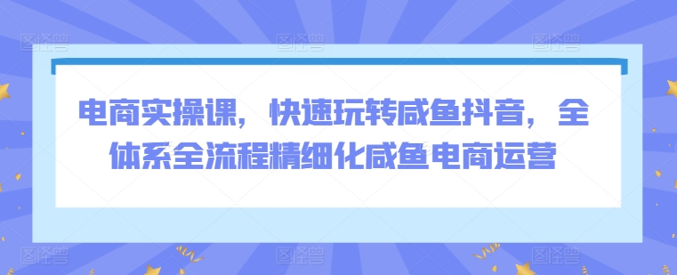 电商实操课，快速玩转咸鱼抖音，全体系全流程精细化咸鱼电商运营-林文副业站