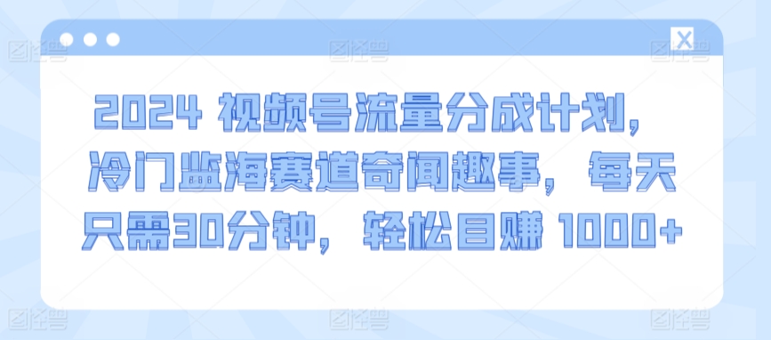 2024视频号流量分成计划，冷门监海赛道奇闻趣事，每天只需30分钟，轻松目赚 1000+【揭秘】-林文副业站