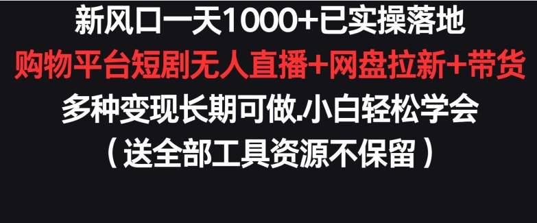 新风口一天1000+已实操落地购物平台短剧无人直播+网盘拉新+带货多种变现长期可做【揭秘】-林文副业站