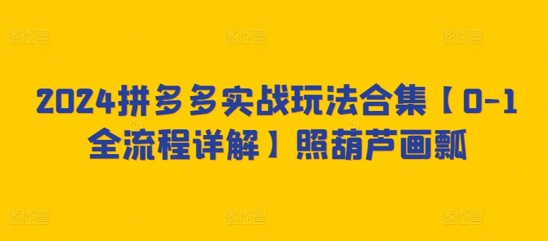 2024拼多多实战玩法合集【0-1全流程详解】照葫芦画瓢-林文副业站
