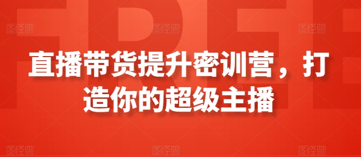 直播带货提升密训营，打造你的超级主播-林文副业站
