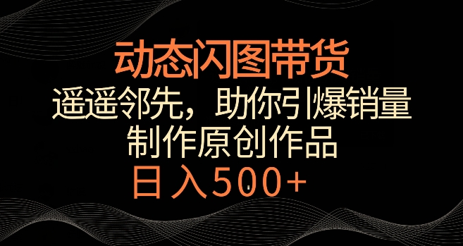 动态闪图带货，遥遥领先，冷门玩法，助你轻松引爆销量，日赚500+【揭秘】-林文副业站
