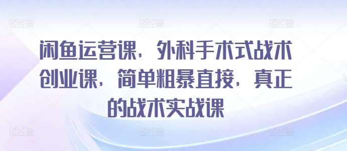 闲鱼运营课，外科手术式战术创业课，简单粗暴直接，真正的战术实战课-林文副业站