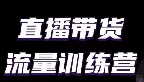 直播带货流量训练营，小白主播必学直播课-林文副业站