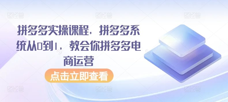 拼多多实操课程，拼多多系统从0到1，教会你拼多多电商运营-林文副业站