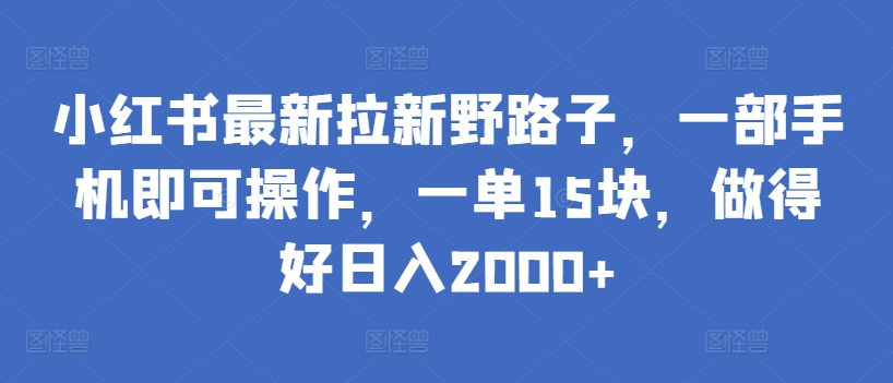 小红书最新拉新野路子，一部手机即可操作，一单15块，做得好日入2000+【揭秘】-林文副业站