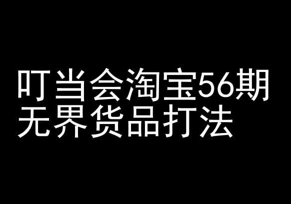 叮当会淘宝56期：无界货品打法-淘宝开店教程-林文副业站