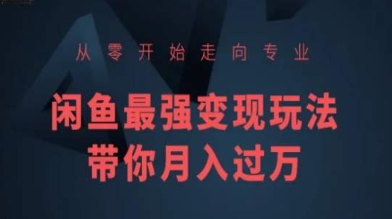 从零开始走向专业，闲鱼最强变现玩法带你月入过万-林文副业站