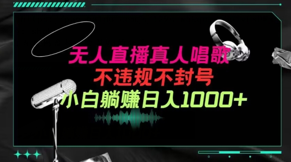 抖音24小时无人直播音乐，不违规，不封号纯撸音浪，小白实操当天日入1000+【揭秘】-林文副业站