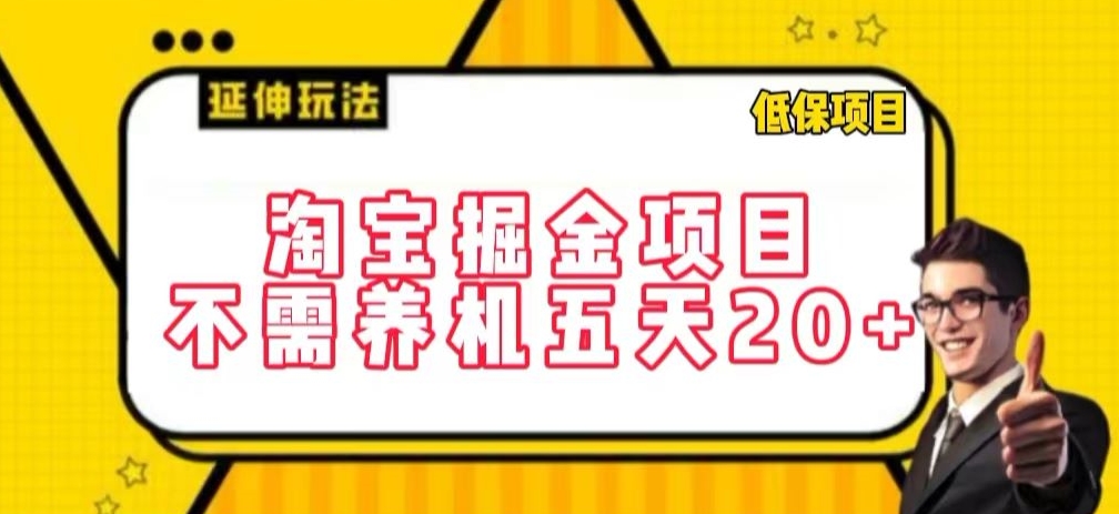 淘宝掘金项目，不需养机，五天20+，每天只需要花三四个小时【揭秘】-林文副业站