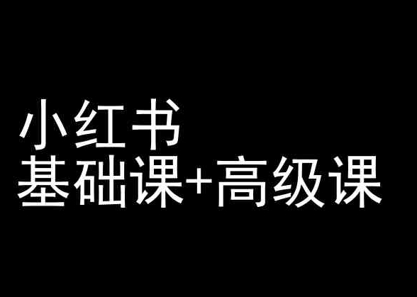 小红书基础课+高级课-小红书运营教程-林文副业站