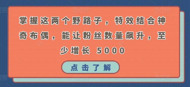 掌握这两个野路子，特效结合神奇布偶，能让粉丝数量飙升，至少增长 5000【揭秘】-林文副业站