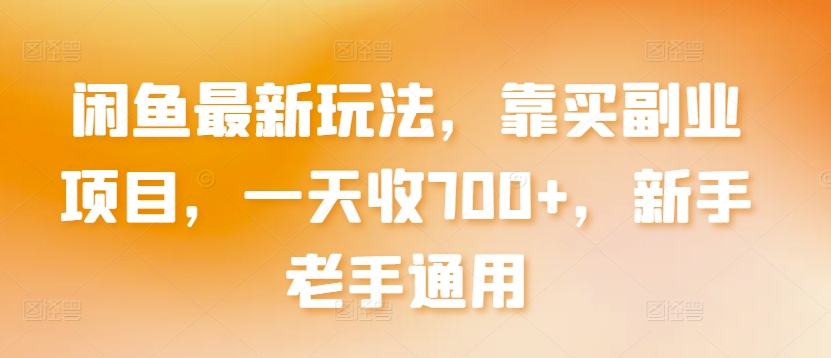 闲鱼最新玩法，靠买副业项目，一天收700+，新手老手通用【揭秘】-林文副业站
