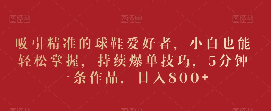 吸引精准的球鞋爱好者，小白也能轻松掌握，持续爆单技巧，5分钟一条作品，日入800+【揭秘】-林文副业站