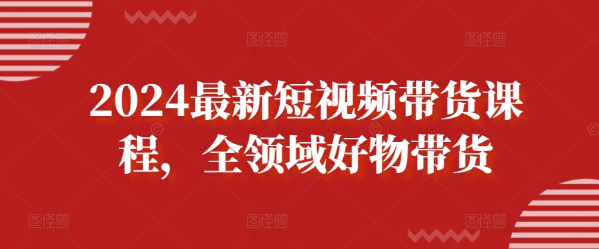 2024最新短视频带货课程，全领域好物带货-林文副业站
