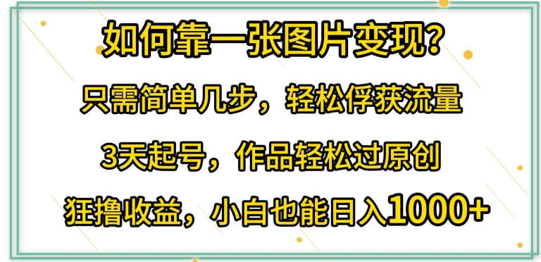 如何靠一张图片变现?只需简单几步，轻松俘获流量，3天起号，作品轻松过原创【揭秘】-林文副业站