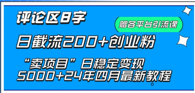 抖音评论区8字日截流200+创业粉 “卖项目”日稳定变现5000+【揭秘】-林文副业站