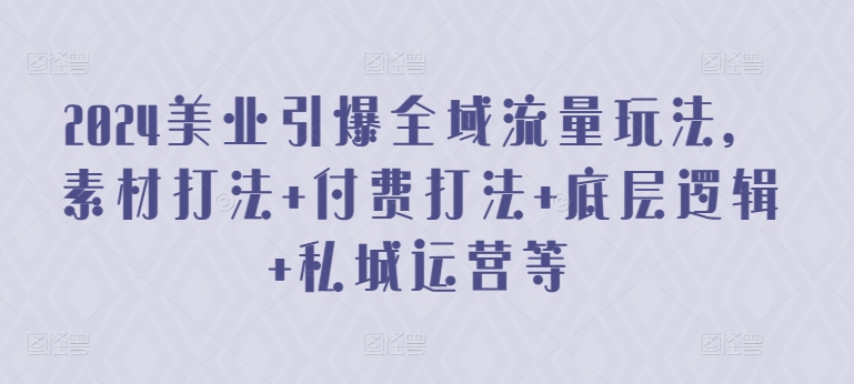 2024美业引爆全域流量玩法，素材打法 付费打法 底层逻辑 私城运营等-林文副业站