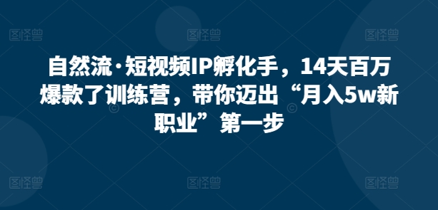 自然流·短视频IP孵化手，14天百万爆款了训练营，带你迈出“月入5w新职业”第一步-林文副业站