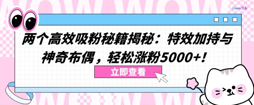 两个高效吸粉秘籍揭秘：特效加持与神奇布偶，轻松涨粉5000+【揭秘】-林文副业站