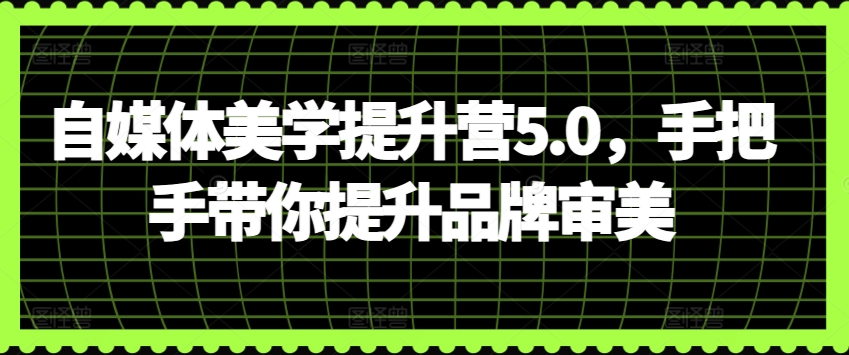 自媒体美学提升营5.0，手把手带你提升品牌审美-林文副业站