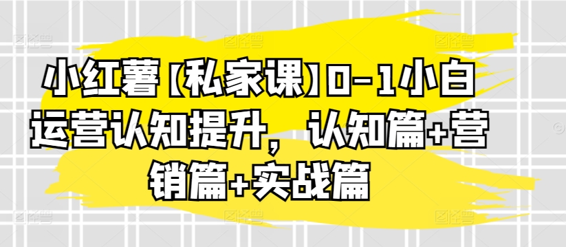 小红薯【私家课】0-1小白运营认知提升，认知篇+营销篇+实战篇-林文副业站