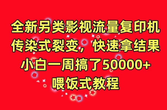 全新另类影视流量复印机，传染式裂变，快速拿结果，小白一周搞了50000+，喂饭式教程【揭秘】-林文副业站
