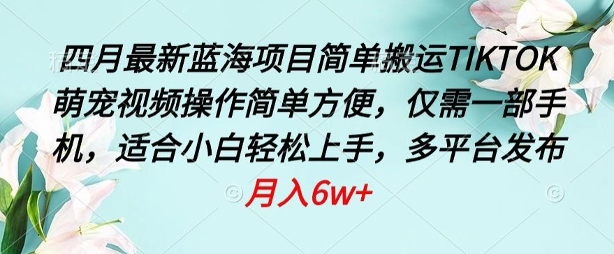 四月最新蓝海项目，简单搬运TIKTOK萌宠视频，操作简单方便，仅需一部手机【揭秘】-林文副业站