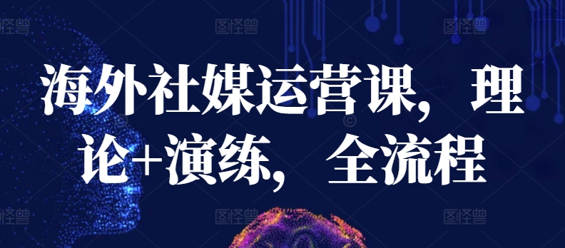 海外社媒运营课，理论+演练，全流程-林文副业站