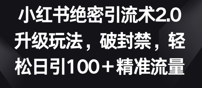 小红书绝密引流术2.0升级玩法，破封禁，轻松日引100+精准流量【揭秘】-林文副业站