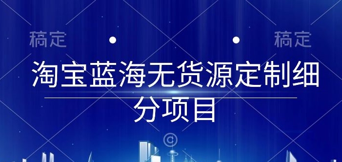 淘宝蓝海无货源定制细分项目，从0到起店实操全流程【揭秘】-林文副业站