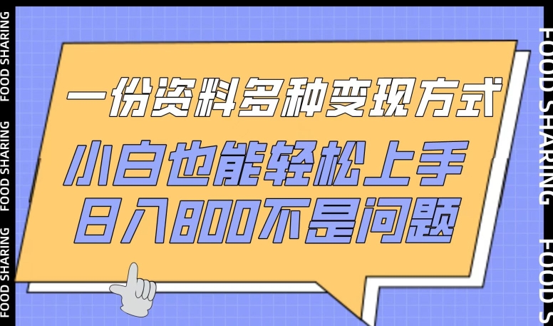 一份资料多种变现方式，小白也能轻松上手，日入800不是问题【揭秘】-林文副业站