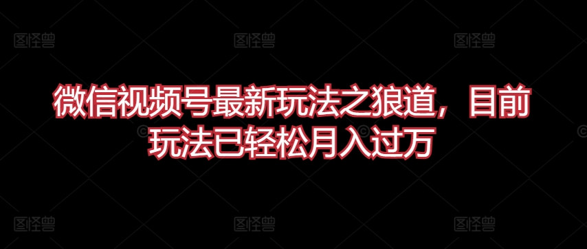 微信视频号最新玩法之狼道，目前玩法已轻松月入过万【揭秘】-林文副业站