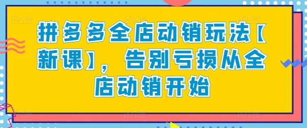 拼多多全店动销玩法【新课】，告别亏损从全店动销开始-林文副业站