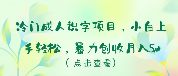 冷门成人识字项目，小白上手轻松，暴力创收月入5w+【揭秘】-林文副业站