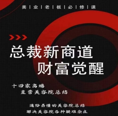 总裁新商道(美业老板必修课)，通俗易懂的美容院总结，解决美容院各种疑难杂症-林文副业站