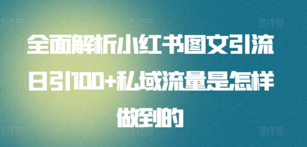 全面解析小红书图文引流日引100+私域流量是怎样做到的【揭秘】-林文副业站