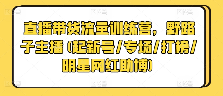 直播带货流量训练营，野路子主播(起新号/专场/打榜/明星网红助博)-林文副业站