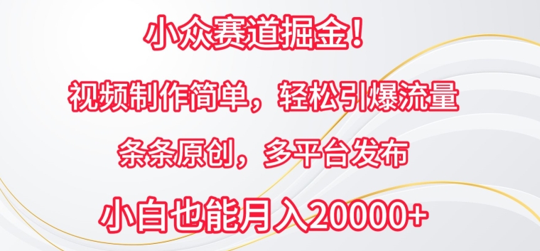 小众赛道掘金，视频制作简单，轻松引爆流量，条条原创，多平台发布【揭秘】-林文副业站