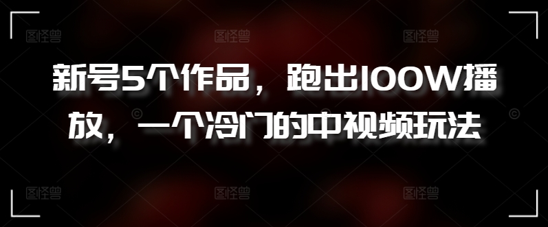 新号5个作品，跑出100W播放，一个冷门的中视频玩法【揭秘】-林文副业站