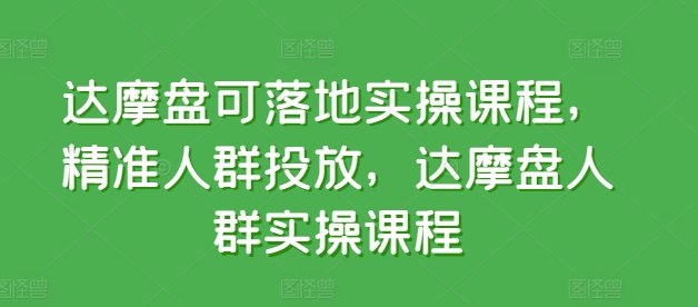达摩盘可落地实操课程，精准人群投放，达摩盘人群实操课程-林文副业站