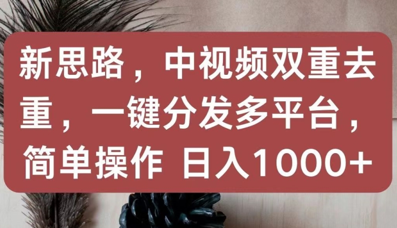 新思路，中视频双重去重，一键分发多平台，简单操作，日入1000+【揭秘】-林文副业站