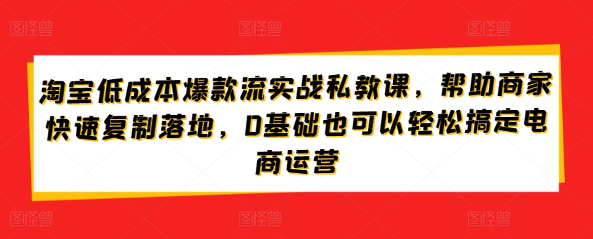 淘宝低成本爆款流实战私教课，帮助商家快速复制落地，0基础也可以轻松搞定电商运营-林文副业站