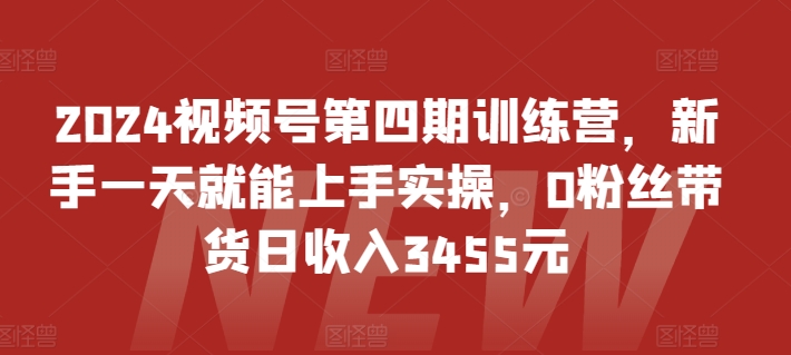 2024视频号第四期训练营，新手一天就能上手实操，0粉丝带货日收入3455元-林文副业站