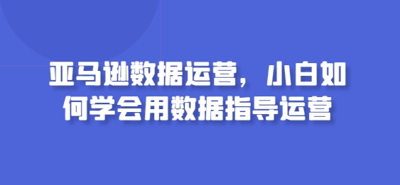 亚马逊数据运营，小白如何学会用数据指导运营-林文副业站