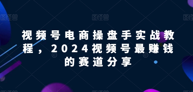 视频号电商实战教程，2024视频号最赚钱的赛道分享-林文副业站