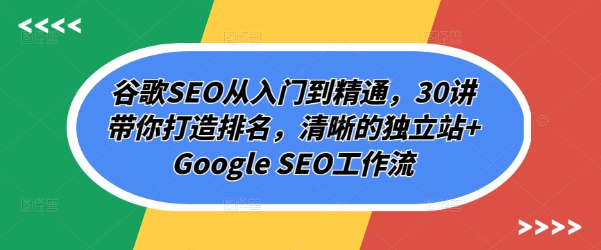 谷歌SEO从入门到精通，30讲带你打造排名，清晰的独立站+Google SEO工作流-林文副业站