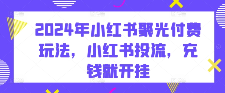 2024年小红书聚光付费玩法，小红书投流，充钱就开挂-林文副业站