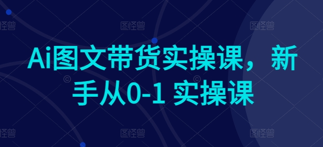 Ai图文带货实操课，新手从0-1 实操课-林文副业站